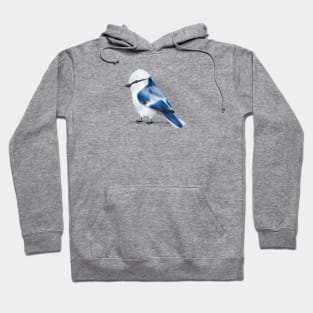 Azure Tit Hoodie